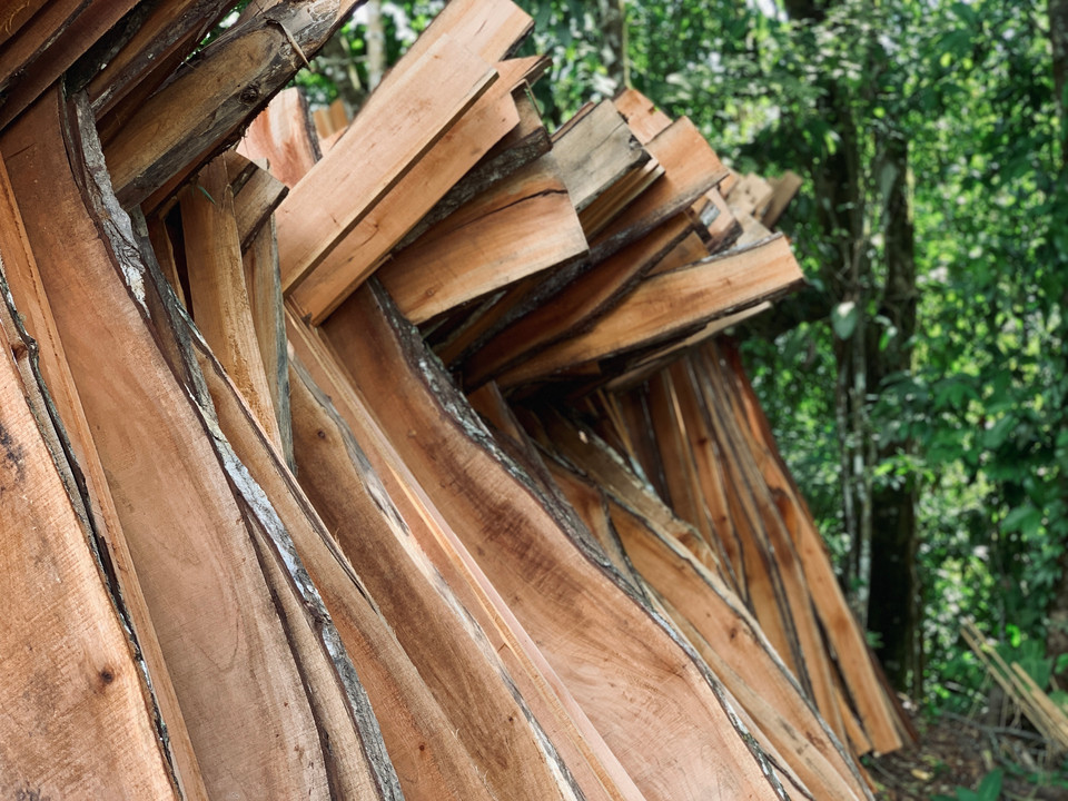 A Few Pieces Built in the Jungle — view 6